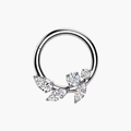 Amber Branch Clicker Hoop – Titanium Daith & Septum Ring
