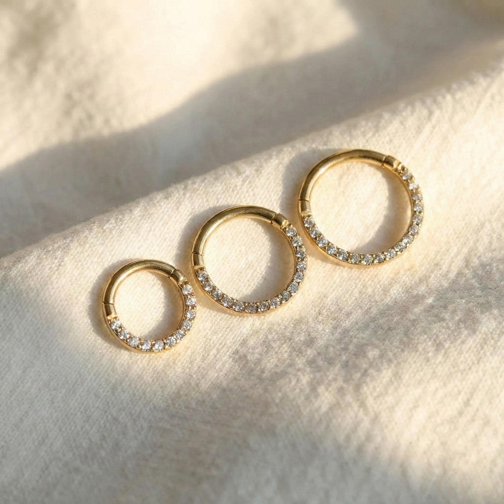 G23 Titanium Clicker Hoop, 16G 18G CZ Hinged Segment Ring, Septum Daith Helix Tragus Cartilage Piercing, Hypoallergenic Nose Earring