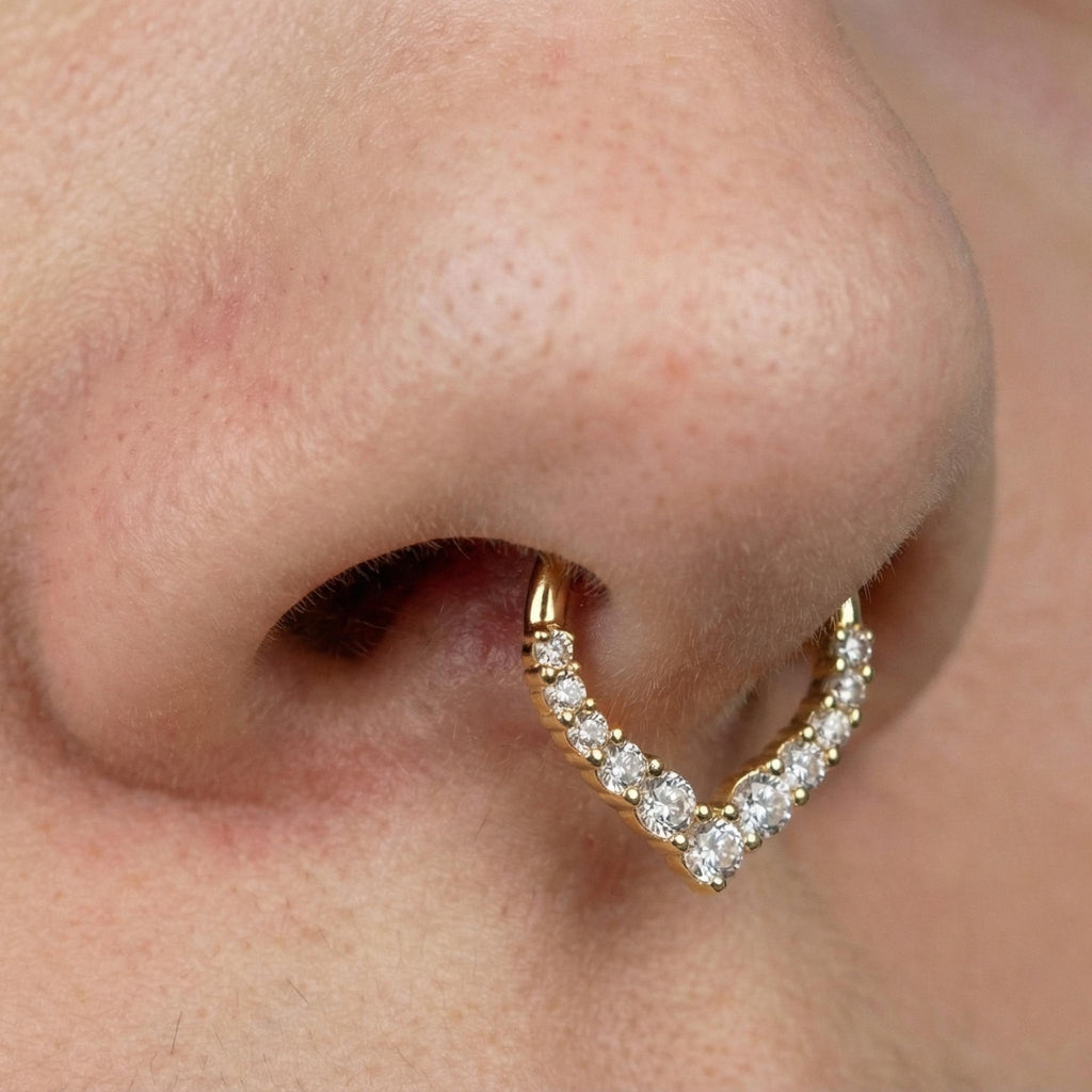 16G Titanium Teardrop Septum Clicker, CZ Daith Hoop Earring, Hinged Segment Ring, Hypoallergenic Waterdrop Nose Piercing