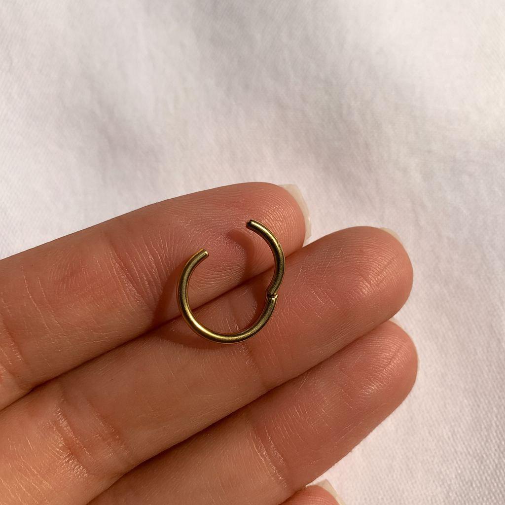 20G/18G/16G Titanium Hinge Hoop • Hinged Segment Nose Ring • Septum Clicker Ring • Cartilage Hoop • Nose Ring • Helix Earring Hoop