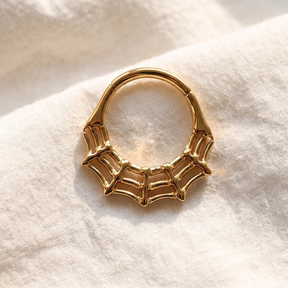 Spiderweb Septum Clicker – Titanium Gothic Daith Hoop